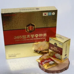 Hansusam Dong Chung Ha Cho Fermentation