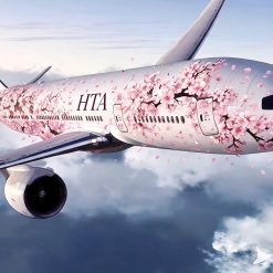 HTA MH370 Emerald Sky — Boeing 777 Nose Radome Section